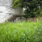 Terreno à venda em Santa Teresinha, São Paulo, SP