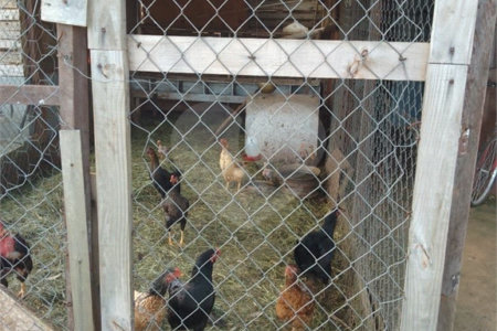 Chácara à venda com 2 quartos em Recanto das Acácias, São Roque, SP