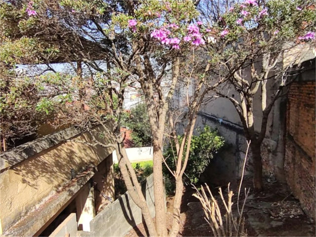 Terreno à venda em Vila Gustavo, São Paulo, SP