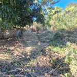 Terreno à venda em Guaratiba, Rio de Janeiro, RJ