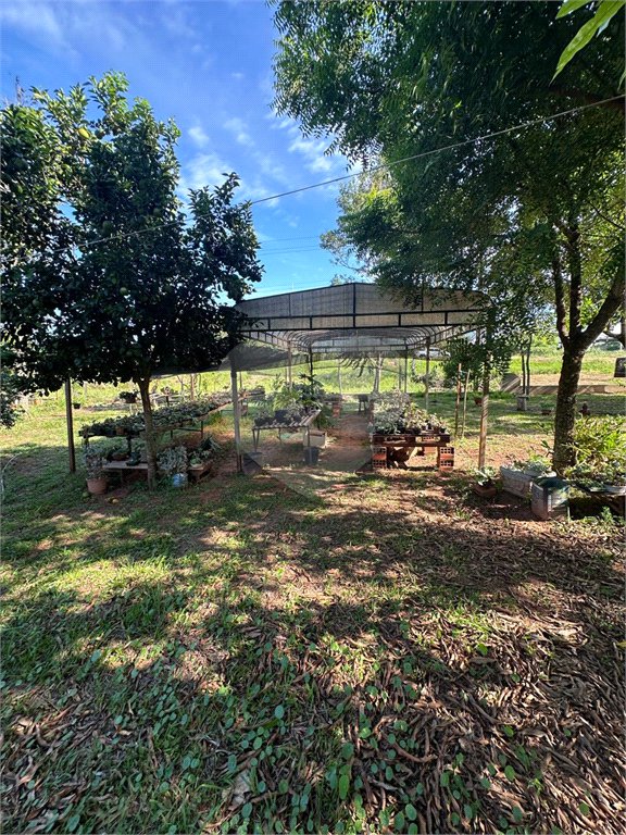 Chácara à venda em Jardim Universitário, Ponta Porã, MS