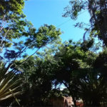 Terreno à venda em Vila Verde, Armação dos Búzios, RJ