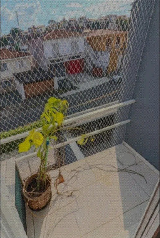 Casa à venda com 3 quartos, sendo 3 suítes, em Butantã, São Paulo - SP