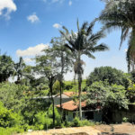 Casa Térrea à venda com 4 suítes em Alto da Boa Vista, São Paulo, SP