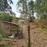 Ribeirão Grande - Bairro ferreira dos Matos - Sítio de 30.000 metros - R$ 600.000,00