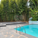 Casa 5 quartos - Morumbi