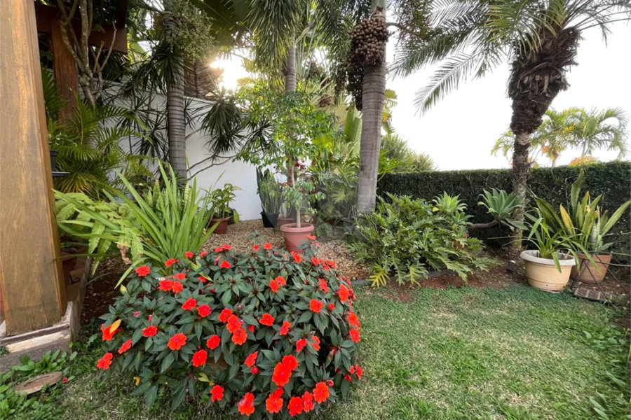 Excepcional Casa de 4 Suítes no Condomínio Monte Alegre em Piracicaba