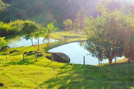 Excelente imóvel rural na cidade de Piedade/SP
