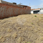 TERRENO À VENDA – CAMPOS DO CONDE