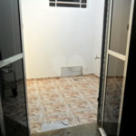 Exuberante no Horto Florestal