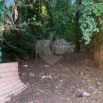 Terreno com 1.000,00 m²
