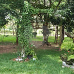 Sitio para venda.