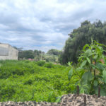 Terreno no Jardim Ricetti São Carlos - SP