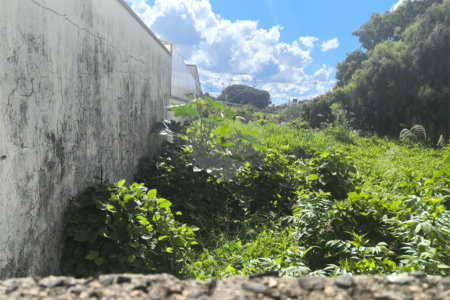 Terreno no Jardim Ricetti São Carlos - SP