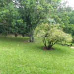 Chácara a venda no Residencial Planalto Serra Verde em Itirapina