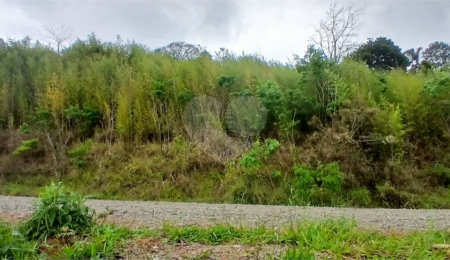 Terreno à venda em Luiz Fagundes, Mairiporã, SP