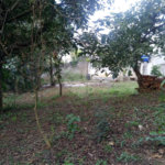 Terreno à venda ou para alugar no condomínio São Marcos, São Paulo - SP