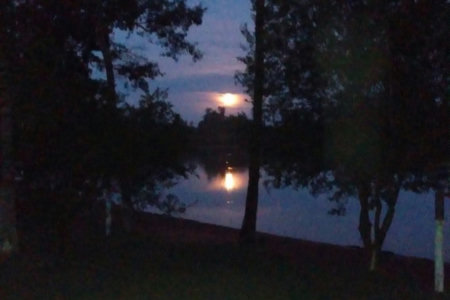 Sítio à venda com 2 quartos, sendo 1 suíte,  em Rural, Três Lagoas, MS