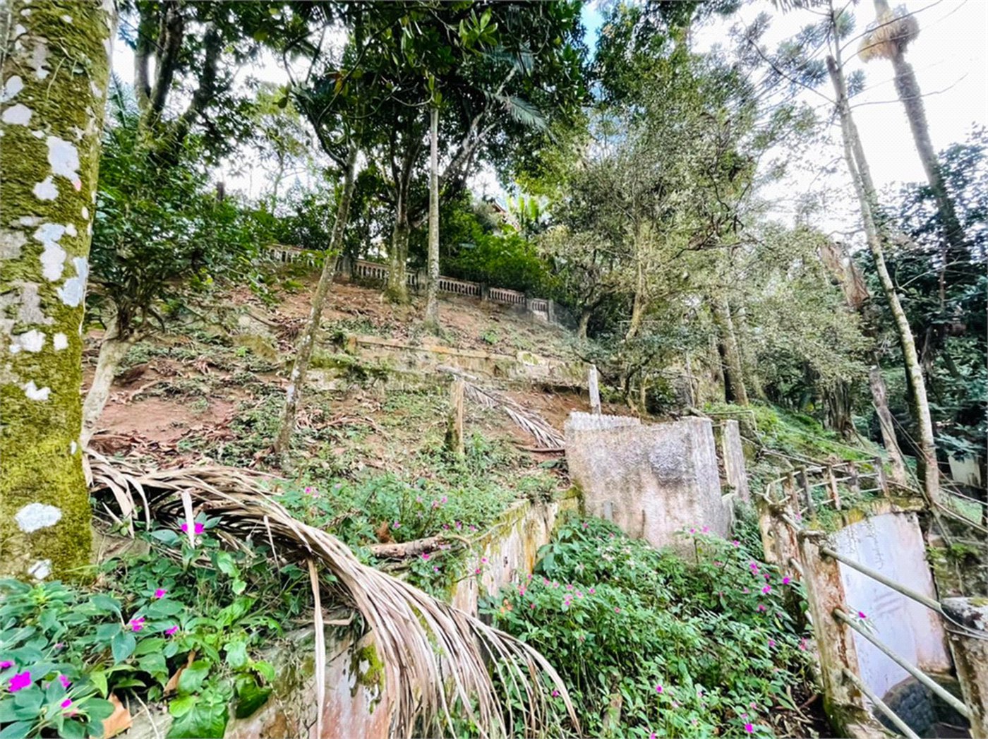 Terreno à venda em Tucuruvi, São Paulo, SP