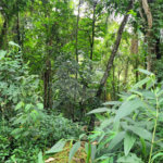 Terreno à venda no condomínio Cantareira, Mairiporã - SP