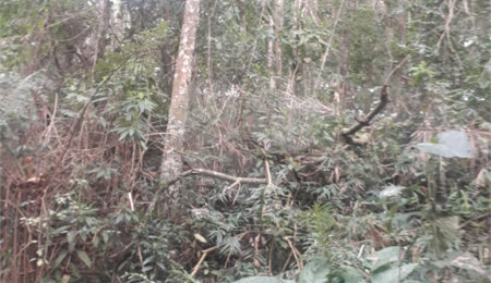 Terreno à venda em Suasalito, Mairiporã, SP