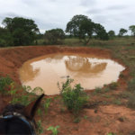 Fazenda à venda com 2 quartos em Canabrava, João Pinheiro, MG