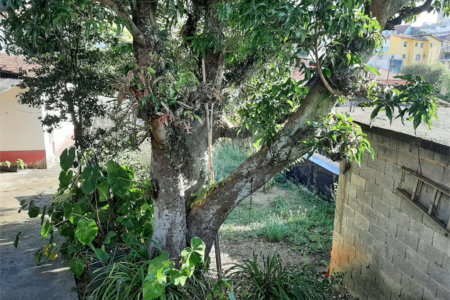 Terreno à venda em Vila Mazzei, São Paulo, SP