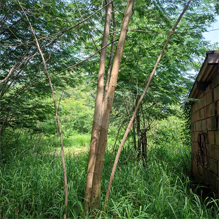 Terreno à venda em Jardim Patriarca, Ribeirão Preto, SP