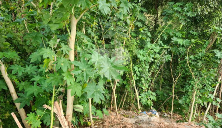 Terreno à venda no condomínio Gleba B1, Mairiporã - SP