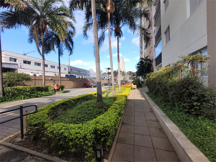 Apartamento à venda ou para alugar com 2 quartos, sendo 1 suíte, em Rio Pequeno, São Paulo, SP