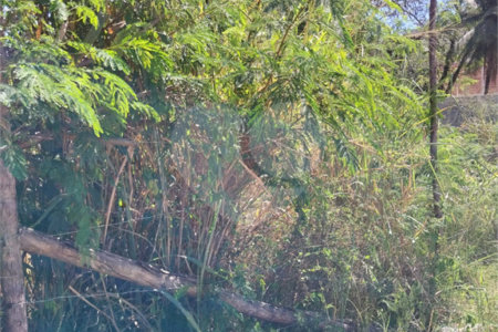 Terreno à venda em Campo Grande, Rio de Janeiro, RJ