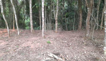 Loteamento à venda em Jardim Peri, São Paulo, SP