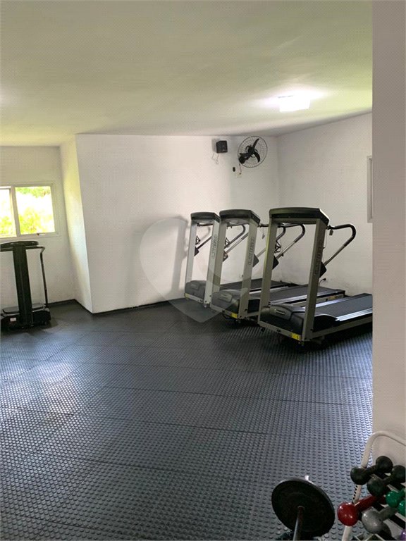 Apartamento à venda com 3 quartos, sendo 1 suíte, em Água Fria, São Paulo, SP