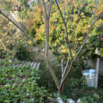 Terreno à venda em Tremembé, São Paulo, SP