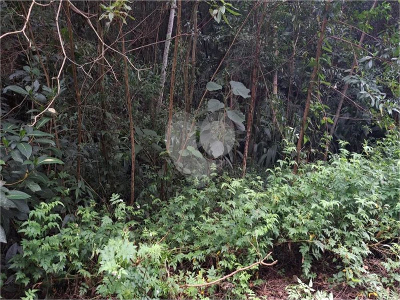 Terreno à venda no condomínio Parque Suiça, Caieiras - SP