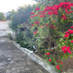 Terreno à venda em Tucuruvi, São Paulo, SP