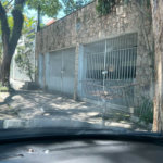 Casa à venda com 4 quartos, sendo 1 suíte, em Jardim das Vertentes, São Paulo, SP