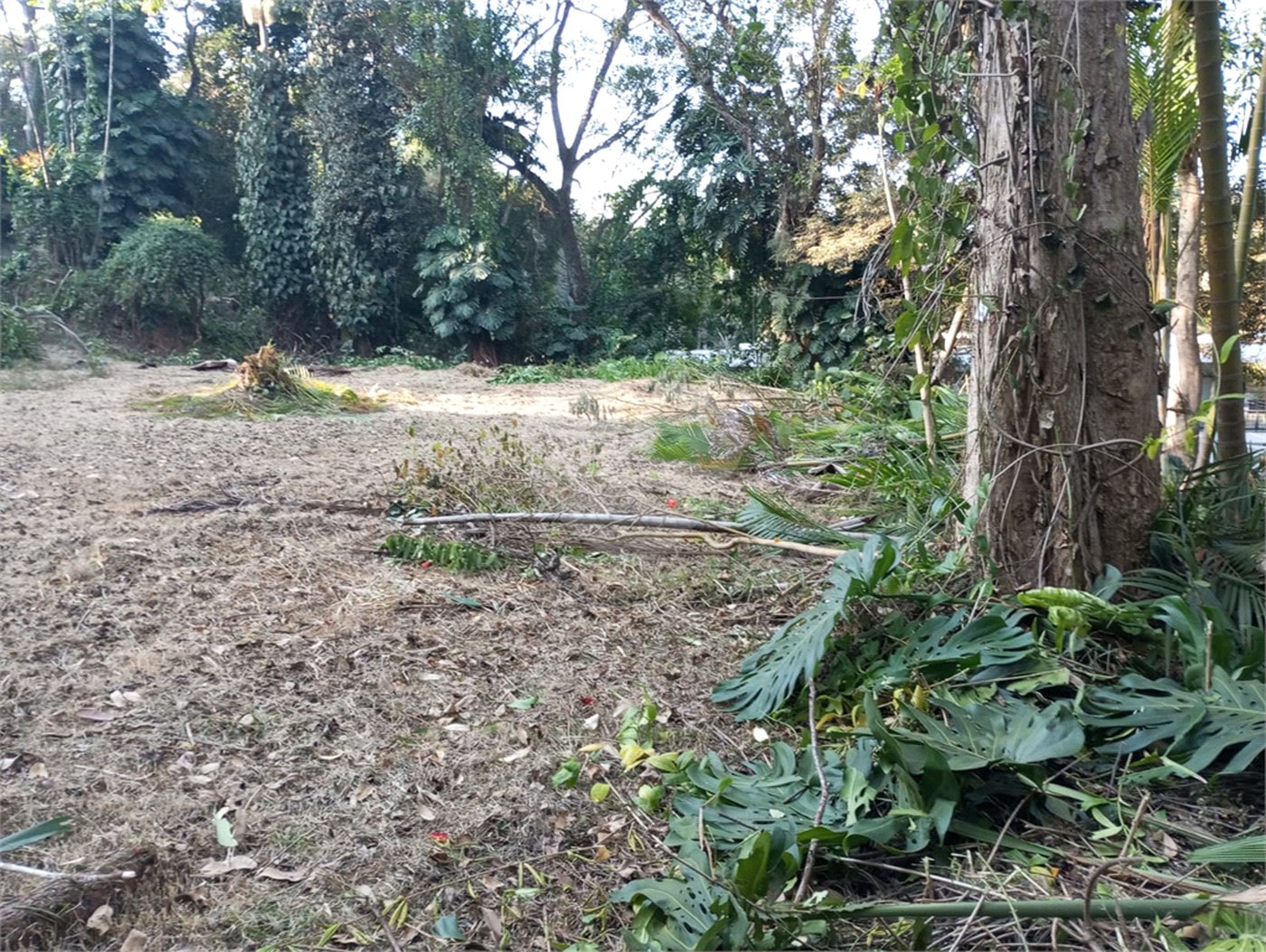 Terreno à venda com 1 suíte em Alto da Boa Vista, São Paulo, SP