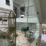 Casa com 6 dormitórios para alugar, 1000 m² por R$ 18.000,00/mês - Morro Santa Terezinha - Santos/SP