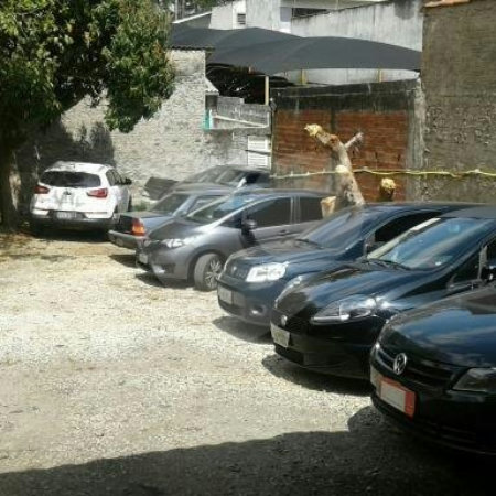 Terreno à venda com 1 quarto em Santa Teresinha, São Paulo, SP
