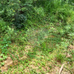 Terreno à venda em Rio Acima, Mairiporã, SP