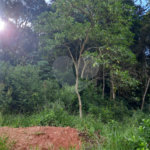 Terreno à venda em Terra Preta (terra Preta), Mairiporã, SP