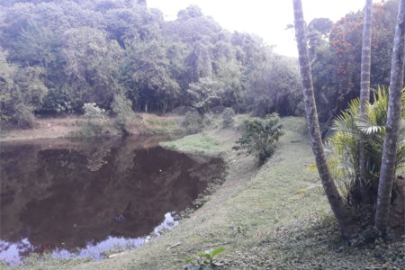 Sítio à venda com 5 quartos, sendo 3 suítes,  em Planalto Verde, São Roque, SP