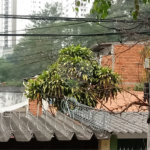 Terreno à venda em Mandaqui, São Paulo, SP