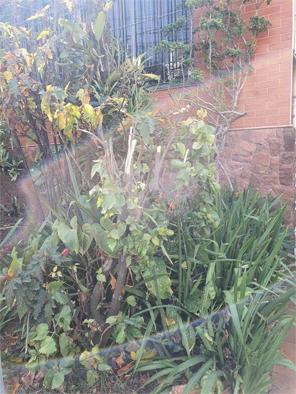 Terreno à venda em Vila Paulicéia, São Paulo, SP