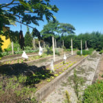Chácara à venda com 4 suítes em Área Rural de Mogi das Cruzes, Mogi das Cruzes, SP