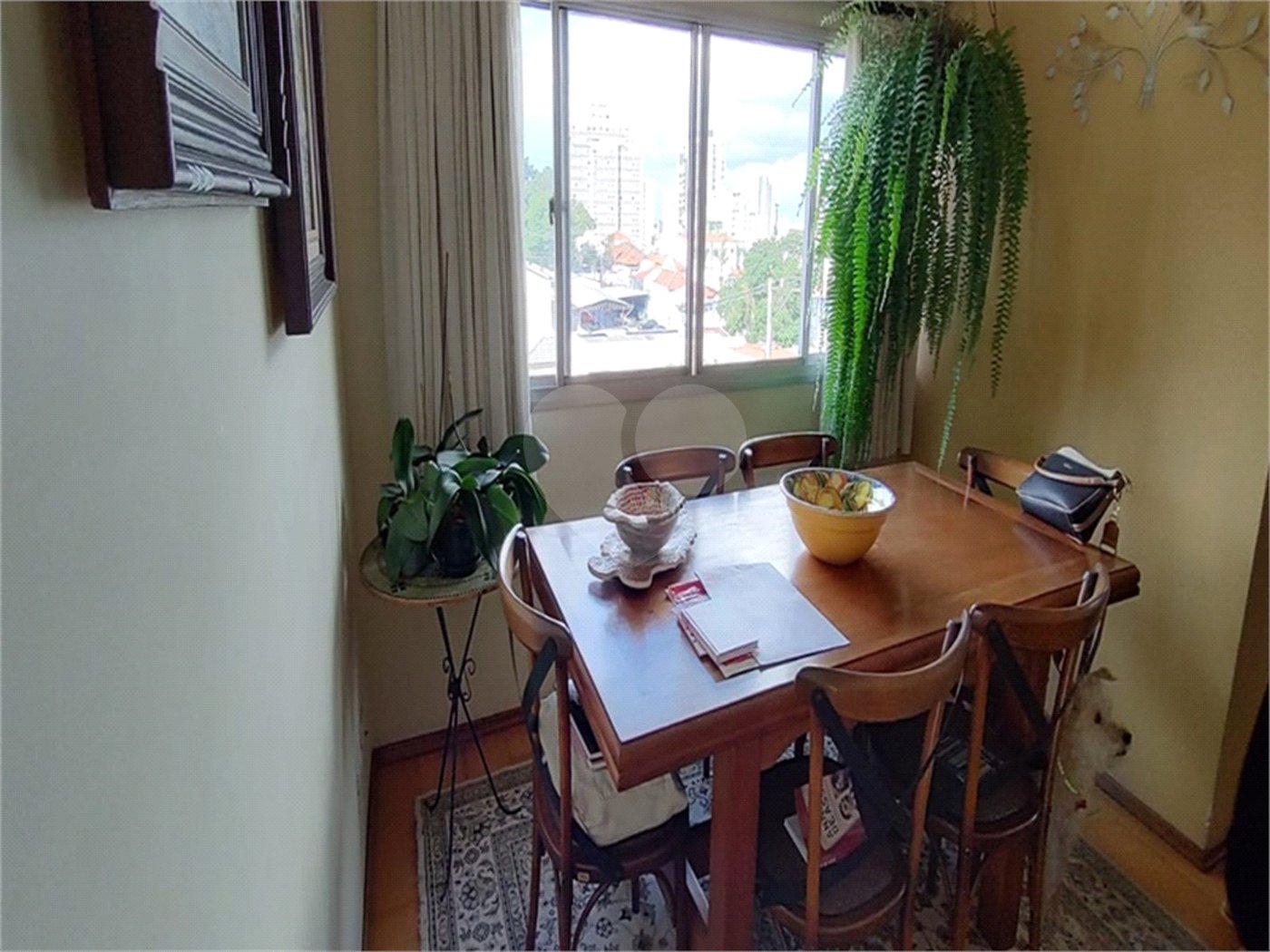 Apartamento à venda com 2 quartos em Tucuruvi, São Paulo, SP