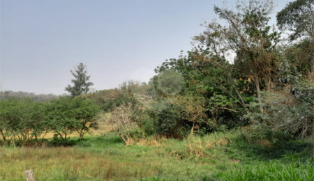 Terreno à venda em Abadia, Louveira, SP