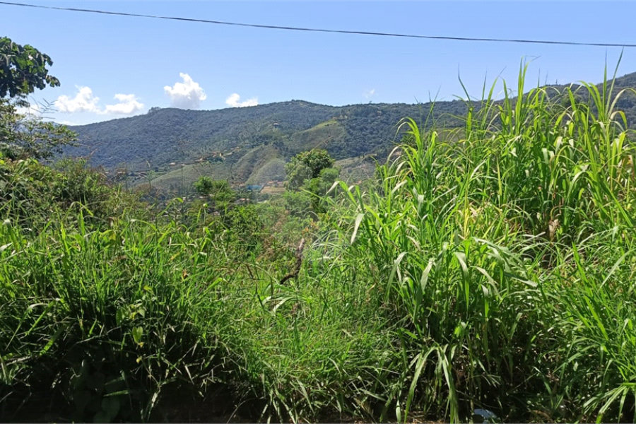 Terreno à venda em Luiz Fagundes, Mairiporã, SP