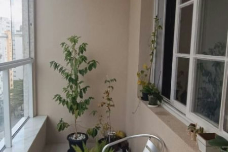 Apartamento com 2 dormitórios à venda, 100 m² por R$ 780.000,00 - Gonzaga - Santos/SP